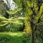 jardin jardin