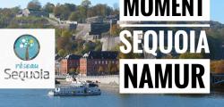 Moment Sequoia Namur Moment Sequoia Namur