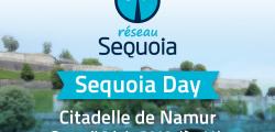 que faire à la retraite réseau sequoia que faire à la retraite réseau sequoia