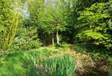 jardin2