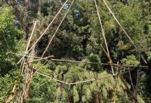 cabane bambou